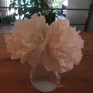 Meet your Posher, Tamara